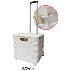 O[NX ylsz L[ReiM 2փ^Cv t^t K-246 WH 6300021039 [1560-6806439]