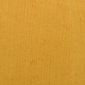 O[NX yʓrz ylsz _CmbN EbhOC WG-831 Cv  1220mmx1m 6300041204 [1560-3429623]