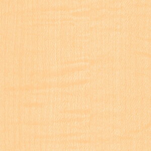 O[NX yʓrz ylsz _CmbN EbhOC WG-833 Cv  1220mmx1m 6300041208 [1560-3429661]