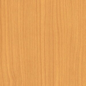 O[NX yʓrz ylsz _CmbN EbhOC WG-836 Cv  1220mmx1m 6300041212 [1560-3429708]