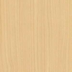 O[NX yʓrz ylsz _CmbN EbhOC WG-837 Cv  1220mmx1m 6300041214 [1560-3429722]