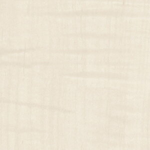 O[NX yʓrz ylsz _CmbN EbhOCOX WG-1711GN VJA  1220mmx1m 6300041242 [1560-3430018]