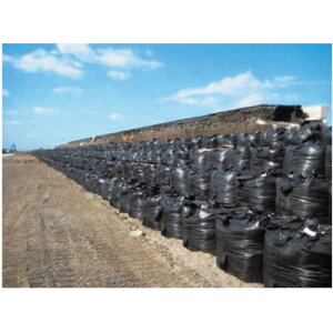 O[NX yʓrz ylsz ό󐫑^ŷiFij2t/3N 1137010410 [1560-6268713]