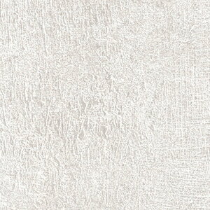 O[NX yʓrz ylsz _CmbN C_XgAeNX`A AE-1959MT 1220mmx1m 6300040924 [1560-3426820]