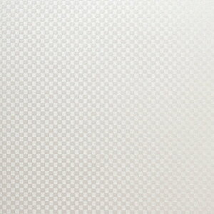 O[NX yʓrz ylsz _CmbN J[{ TE-1650 1220mmx1m 6300041303 [1560-3430629]