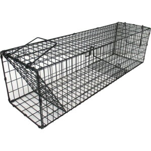 O[NX yʓrz ylsz O[NX X[p[ߊl  L^ 6300028756 [1560-2030631]