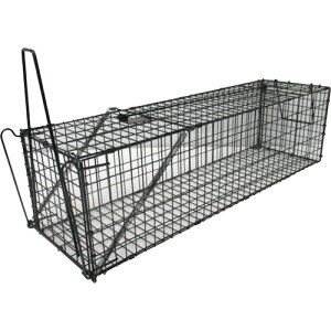 O[NX yʓrz ylsz O[NX Egߊl aݎ L^ 6300028758 [1560-2030655]