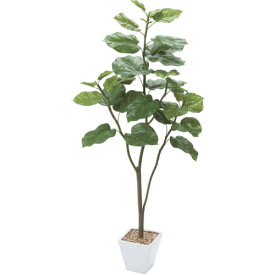 グリーンクロス 【別途送料】 【個人宅不可】 ウンベラータ 全長120cm 6300029179 [1560-3680038]