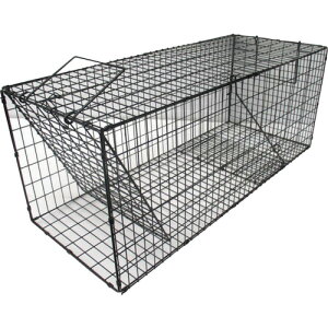 O[NX yʓrz ylsz O[NX X[p[ߊl  LL^ 6300028757 [1560-2030648]