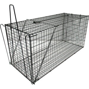 O[NX yʓrz ylsz O[NX Egߊl aݎ LL^ 6300028759 [1560-2030662]