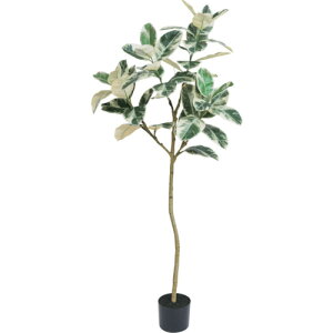 O[NX yʓrz ylsz tBJXAeV} S150cm 6300029250 [1560-3406577]