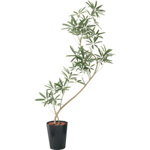 O[NX yʓrz ylsz 130cmVFtAKXeB|bg BKL 6300029312 [1560-3436765]