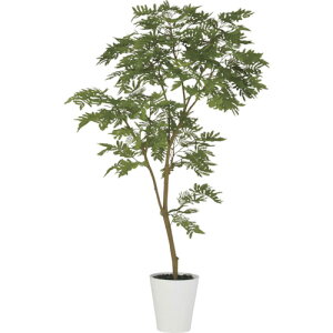 O[NX yʓrz ylsz Go[tbV1.5m 6300029325 [1560-3434457]