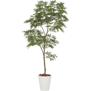 O[NX yʓrz ylsz Go[tbV1.8m 6300029324 [1560-3434440]