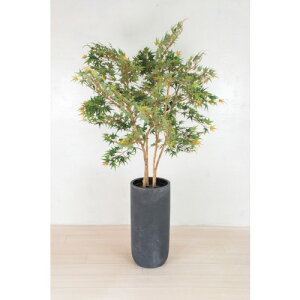 O[NX yʓrz ylsz lH/lHϗtA ~W  6300033756 [1560-6394085]