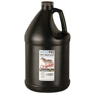 O[NX ylsz  Ets[ t^Cv 1K 6300046275 [1560-8140161]