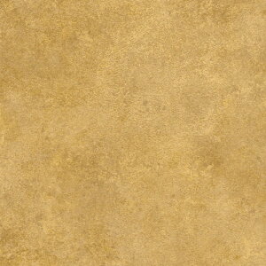 O[NX ylsz _CmbN ILV_CY^ ME-2024 1220mmx50m 6300041274 [1560-3430339]