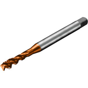 ThrbN SANDVIK R^bv300 XpC^bvi781j C110 T300-XM102DA-M3 [1572-00042823]