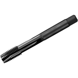 ThrbN SANDVIK R^bv200 |Cg^bvi781j C145 T200-XM101AF-9/16 [1572-00043580]