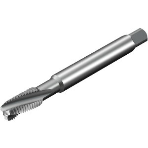 ThrbN SANDVIK R^bv300 XpC^bvi780j D115 T300-SM101DA-M16 [1572-00043907]