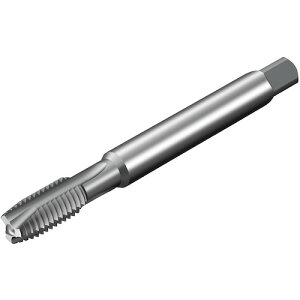 ThrbN SANDVIK R^bv200 |Cg^bvi780j D115 T200-SM101DA-M16 [1572-00044079]