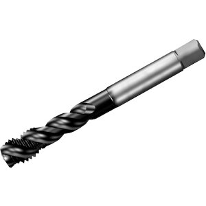 ThrbN SANDVIK R^bv300 XpC^bvi780j P1PM T300-PM115AF-3/4 [1572-00044699]