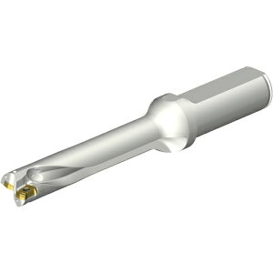 ThrbN SANDVIK RhDS20nhi465j DS20-D1550L20-05 [1572-00045043]