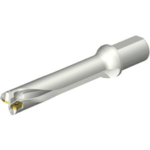 ThrbN SANDVIK RhDS20nhi465j DS20-D4300L50-05 [1572-00045245]