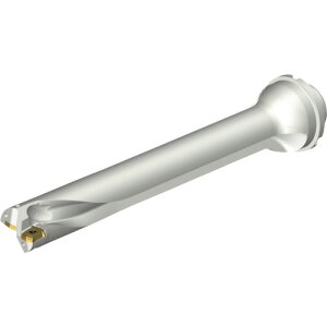 ThrbN SANDVIK RhDS20nhi465j DS20-D3650DM40-07 [1572-00045268]