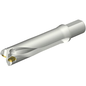 ThrbN SANDVIK RhDS20nhi465j DS20-D5800L50-04 [1572-00045294]