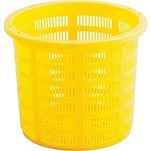 ϐeNm^ bVReiitj ̎JS#16 NKS16O [1596-0096454]