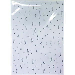 �a�C�Y�� WAKI �V��V�[�� �W�v�g�[���p A4 1�p�b�N�i10�����j GB5000 [1676-7319271]