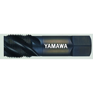 �햞�a���쏊 �Ǘp���s�˂��p�X�e�����X�|�p�X�p�C�����^�b�v SU-SP-PF 1/4-19 SU-SP-PF-1/4-19 [1679-9500275]