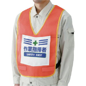 jbg \txXgƎwҁiuIWj iCbV 873-93R [171-0096176]