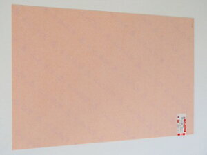 �A�N���T���f�[ �T���f�[�V�[�g �����^�C�v �I�����W���� L 910×600 1.0mm 610 L-1 [1782-151610]