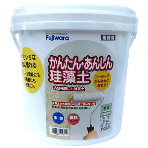 tWw ȒPS]y 10kg t - [1859-8419345]