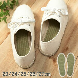CPqR TXeBiu Rf Y  C C\[ ~ L ɂ i` 24cm 1.12255E+12 [1933-7750502]