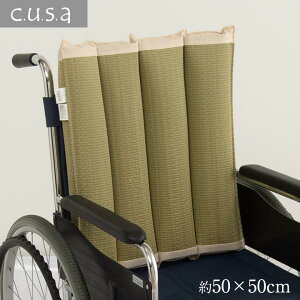 CPqR  T|[g wXPA NbV  Ԃp ݑp ̈U ɂ 50×50cm 1.36004E+12 [1933-2733195]