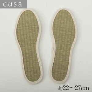 CPqR  T|[g wXPA C\[ { L  25cm #1360100010501 [1933-2733270]