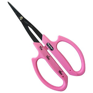 T{e #B-1FPL񒷂Ԃǂ  n - [2011-5200941]