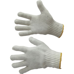 xm܍H yʓrz ylsz y10Dz̔zaR RA 81 [2179-4001908]