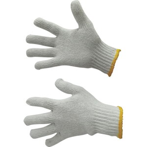 xm܍H yʓrz ylsz y10Dz̔zaR FUJIBOY 80 [2179-4008006]