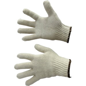 xm܍H yʓrz ylsz y10Dz̔zȌR V6{900g 901 [2179-4090100]