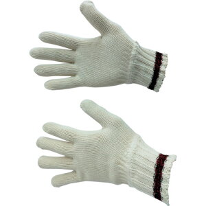 xm܍H yʓrz ylsz y10Dz̔zȌR V  JtX I 1000-CFSP [2179-4100113]