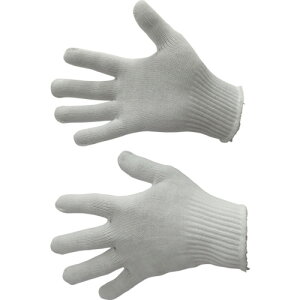 xm܍H yʓrz ylsz y10Dz̔zyƎ hCo[̗F Ō 3502 [2179-4350204]