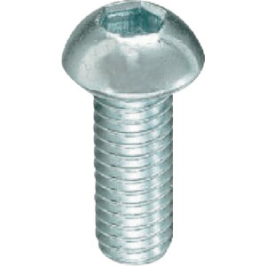 �����˂� YAHATA �Z�p���t�{�^���{���g ���j�N�� M10×40 �i100�{���j 4580141792140 [2310-1792140]