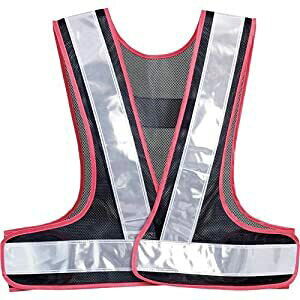 �^�j�U�� ���S�x�X�g �����p���˃`���b�L������ 643NWP [246-001767]