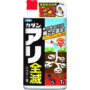 t}L[ y15̔zApE܃J_ASŃV[t 431568 [251-431568]