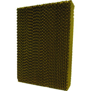 É@ É RKF406ppGg 50812-201007 [260-600306]