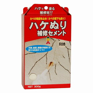 {~RY nPʂCZg 300g D MHS-01 [2600-7171200]